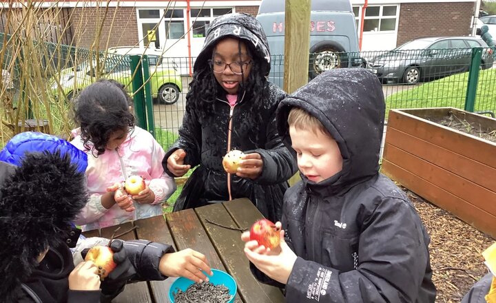Image of Bird feeders