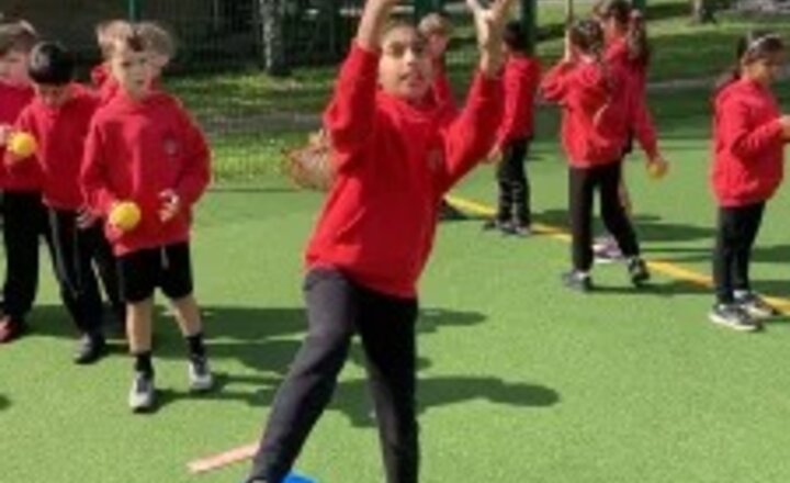 Image of Welcome back Beech