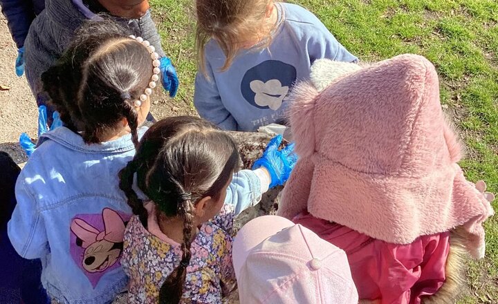 Image of Big school clean week