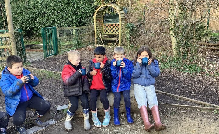 Image of Beech’s fun in the forest