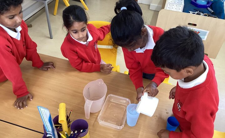 Image of Highway Rats, Water Wonders & Darwin Discoveries