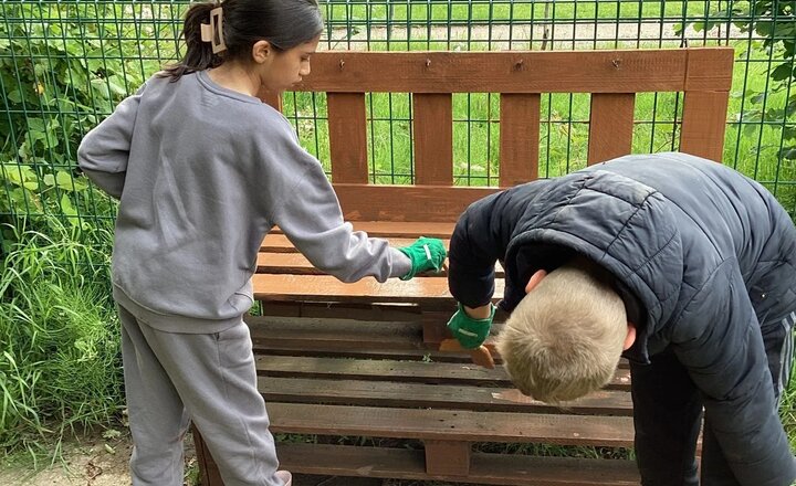 Image of Painting in the forest