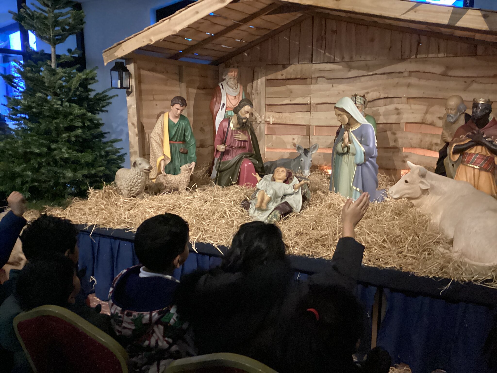 Image of Welcome Back Beech 