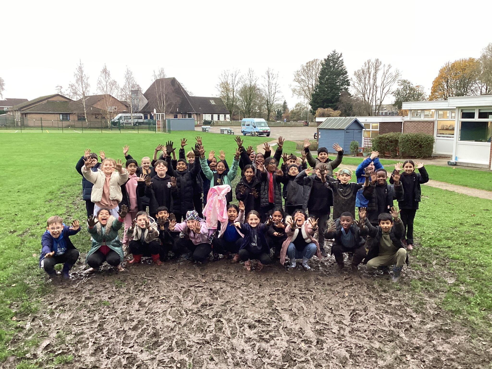 Image of Muddy forest