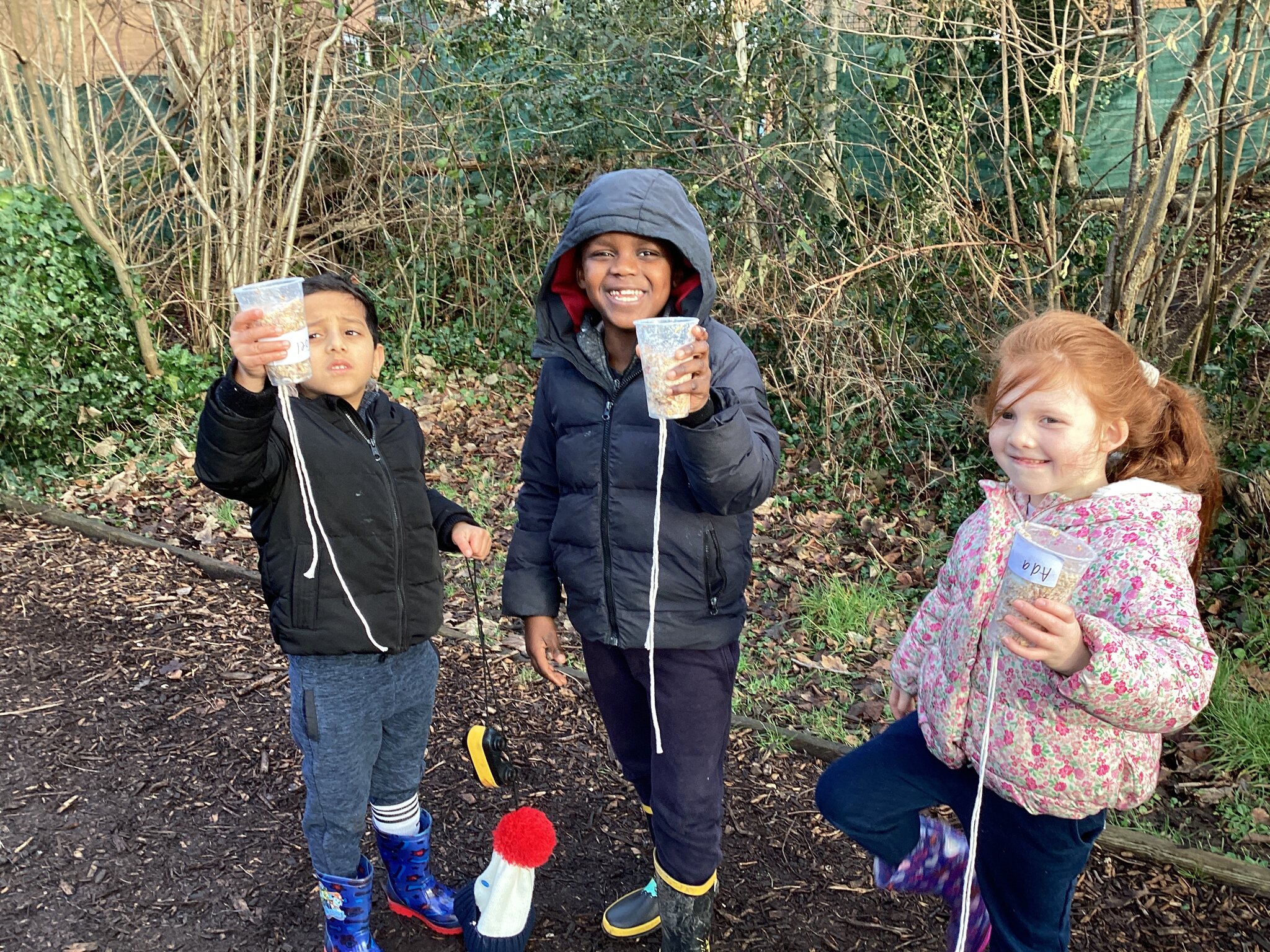 Image of Bird feeders