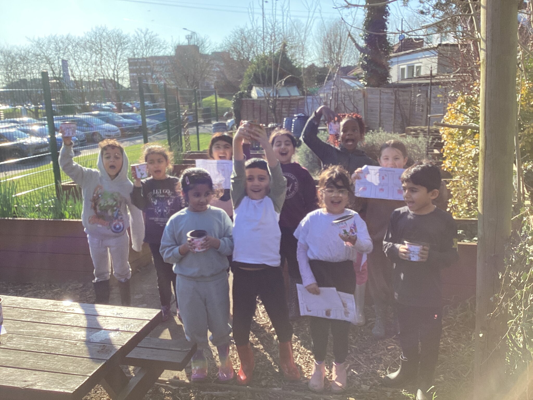 Image of Sunflower competition 