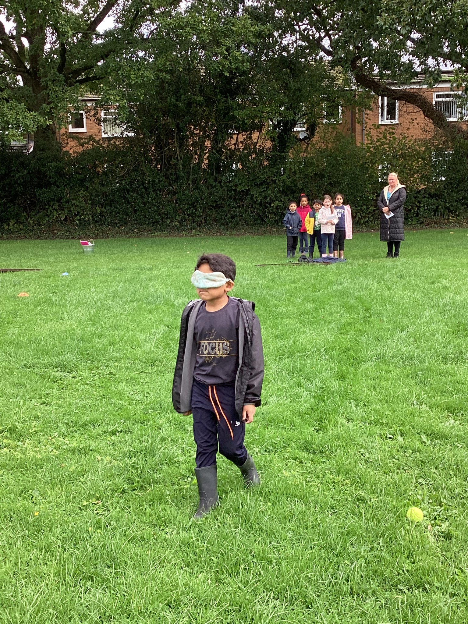 Image of Blind fetch in the forest