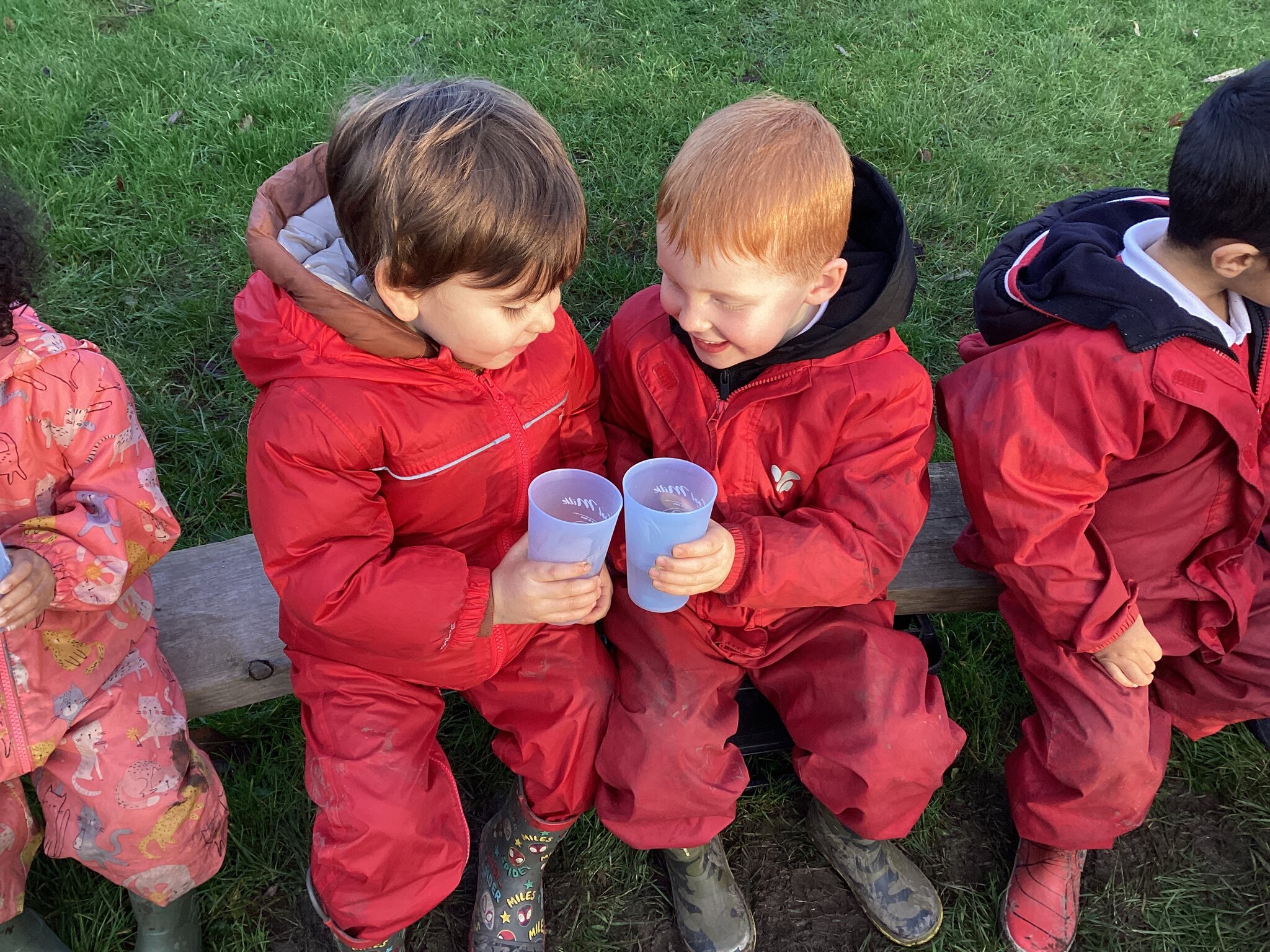 Image of Our Christmas week