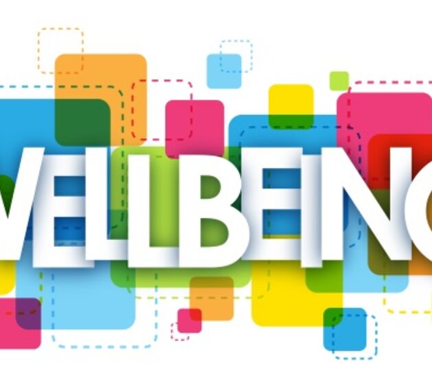 Image of Reminder for Parents and Carers - Wellbeing Evening - Thursday 26th January