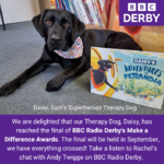 Image of Daisy, our Therapy Dog, reaches the FINALS of BBC Radio Derby's Make a Difference Awards - 2024