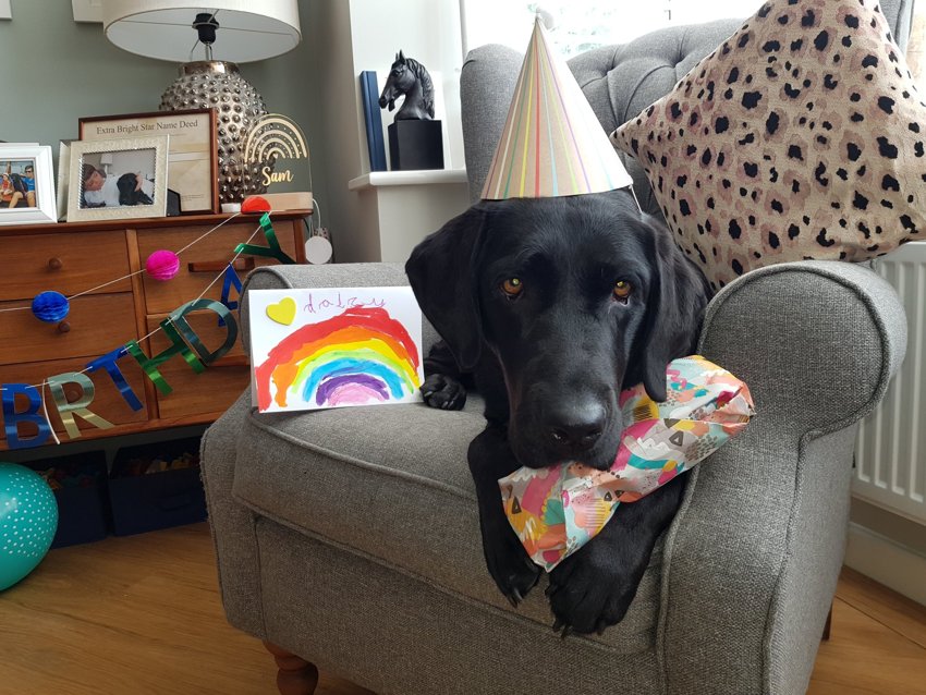 Image of Happy 3rd Birthday Daisy!