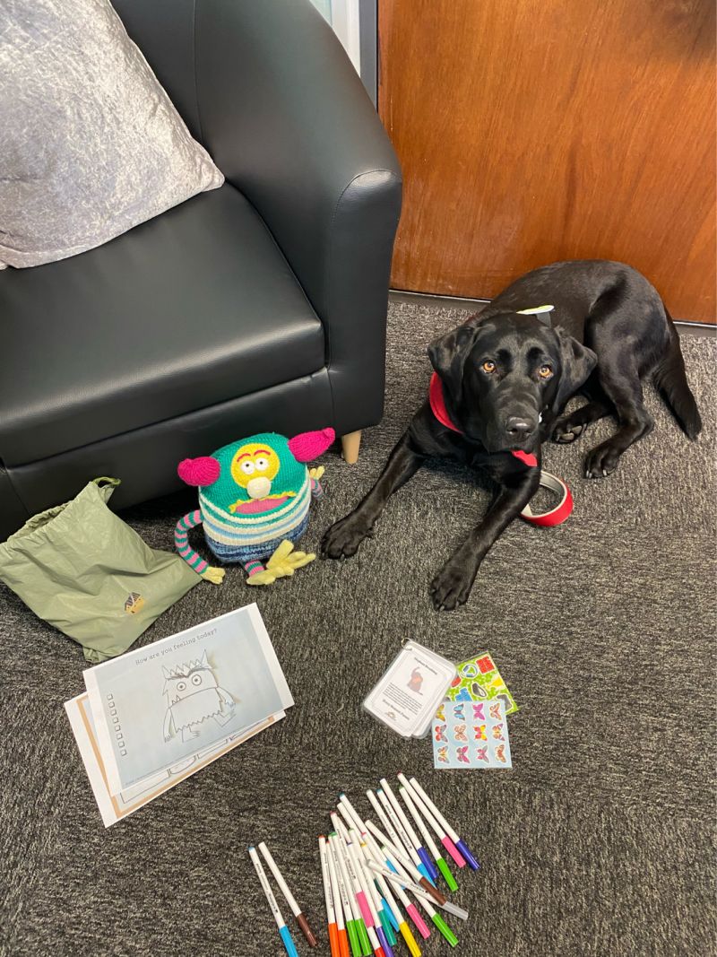 Image of Daisy has her First Primary School Visit!