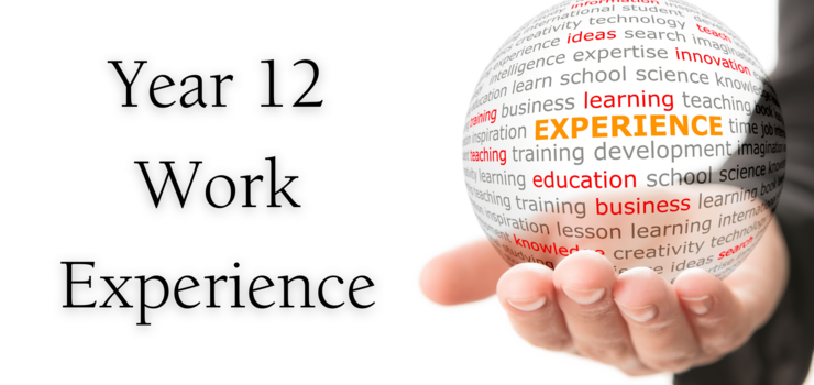 Image of Year 12 Work Experience