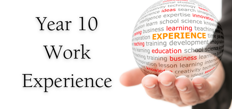 Image of Year 10 Work Experience