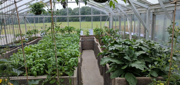 Image of The Samworth Church Academy Allotment