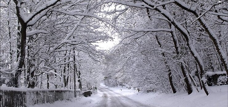 Image of School Closure