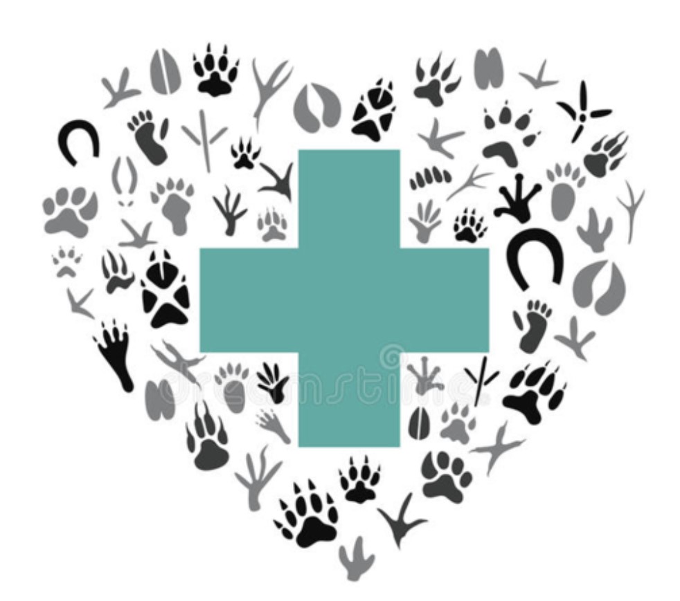 Image of BTEC Level 3 Animal Care