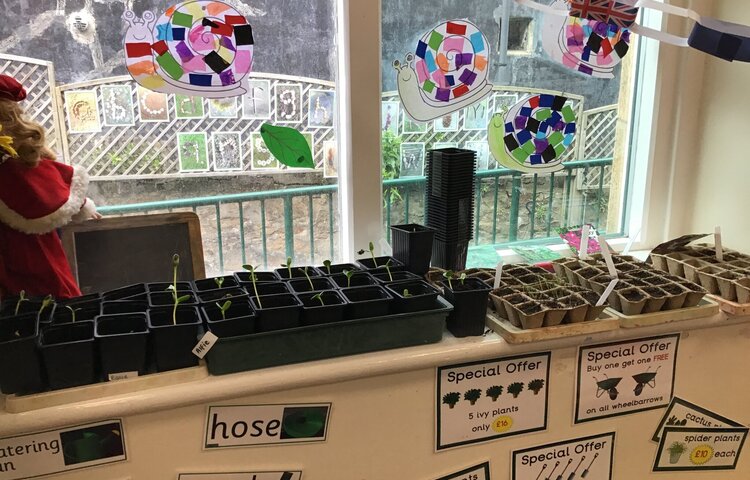 Image of Our Plants so far!