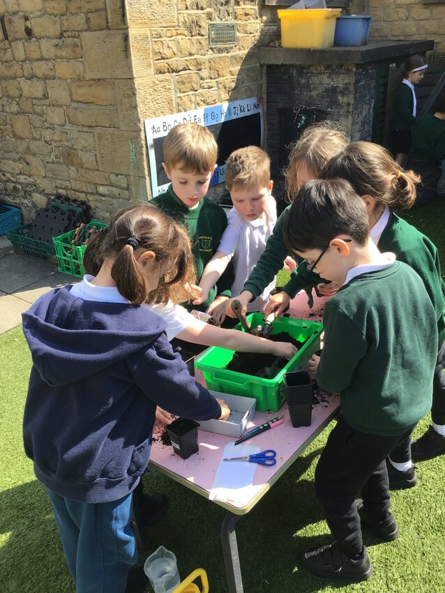 Image of Planting in Year 1