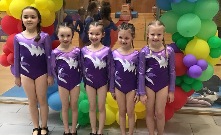 Image of Seaton Academy Gymnasts are Allerdale Gymnastic Champions!