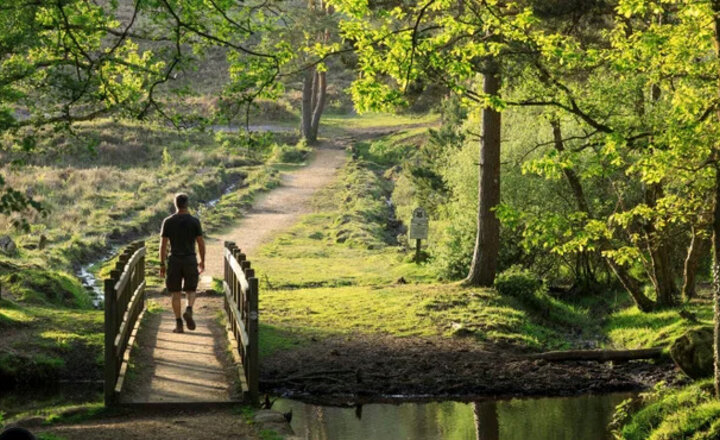 Image of Free National Trust Pass