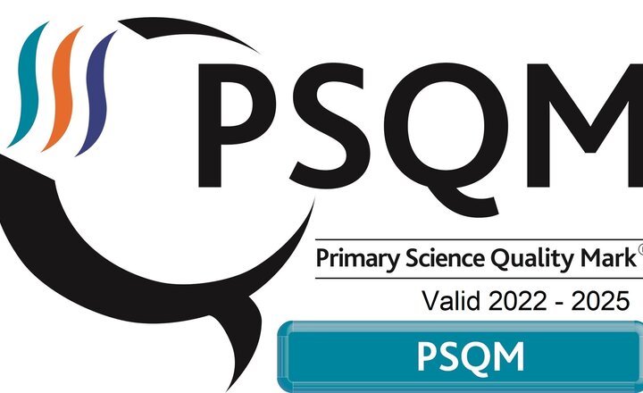 Image of WMS Awarded Primary Science Quality Mark