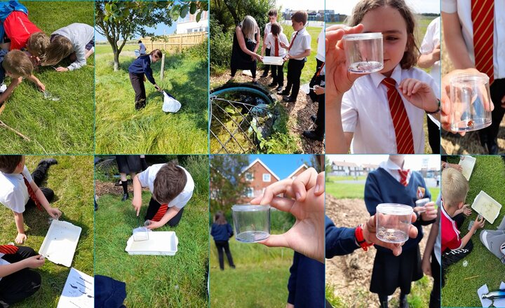 Image of SSMS - Pond Dipping