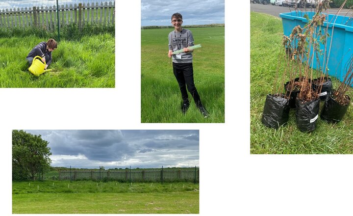 Image of ACHS - Duke of Edinburgh Silver Participants Tree Planting