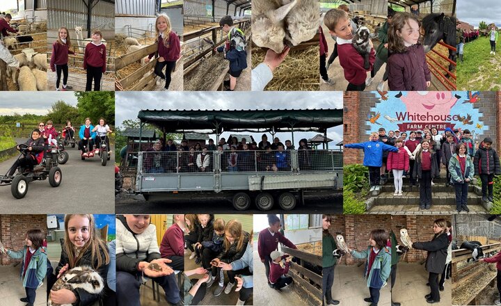 Image of Year 5 Enjoy Whitehouse Farm