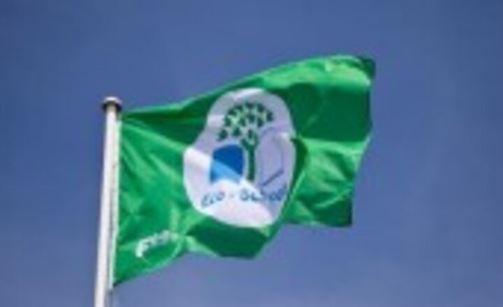 Image of ACHS Achieves Green Flag Status!