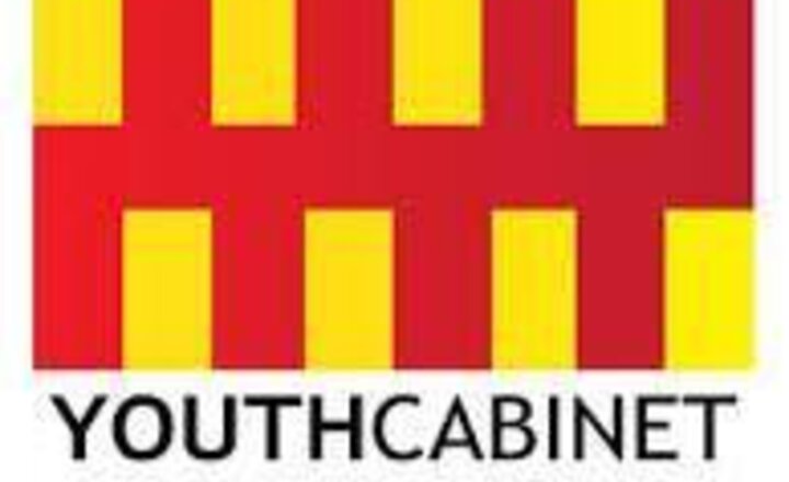 Image of Northumberland Youth Elections - Results