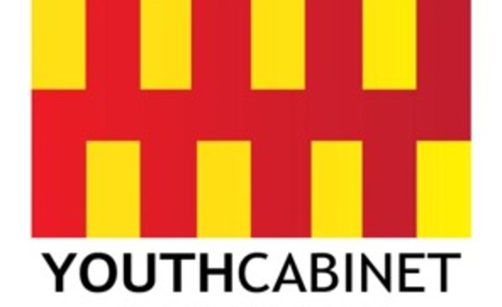 Image of Northumberland County Council Youth Elections 