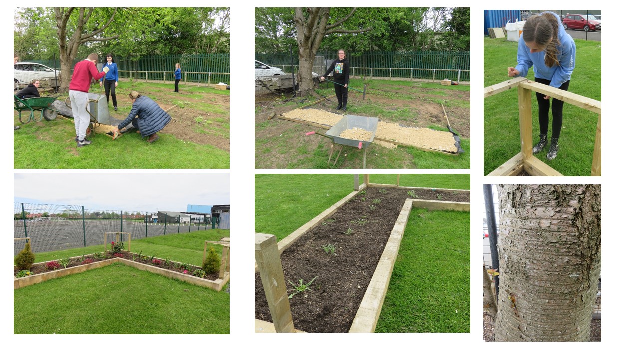 Image of ACHS - Life skills - Developing an amazing garden 