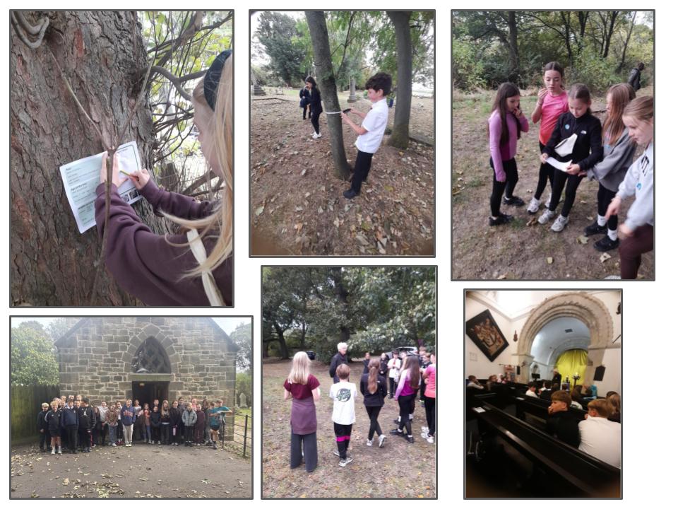 Image of Church of Our Lady Trip - The Ringing Through Time Project