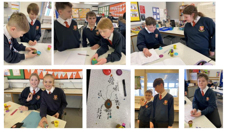 Image of How do our eyes work?