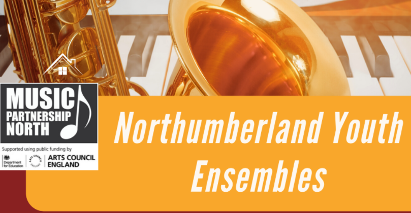 Image of Northumberland Youth Ensembles