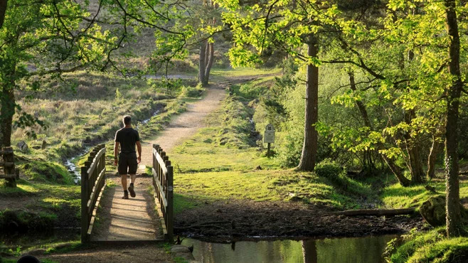 Image of Free National Trust Pass