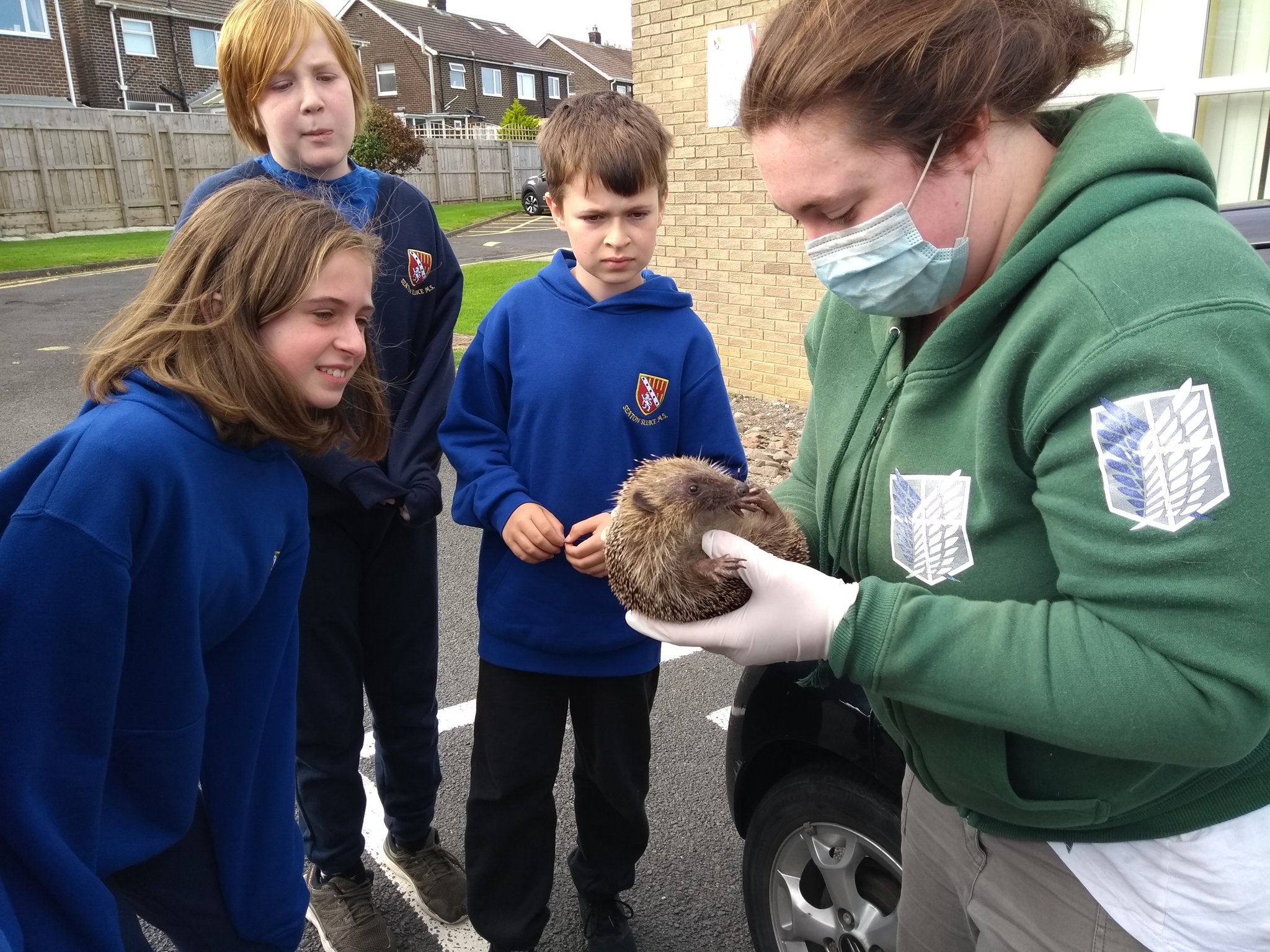 Image of SSMS Eco Warriors Save a Hedgehog!