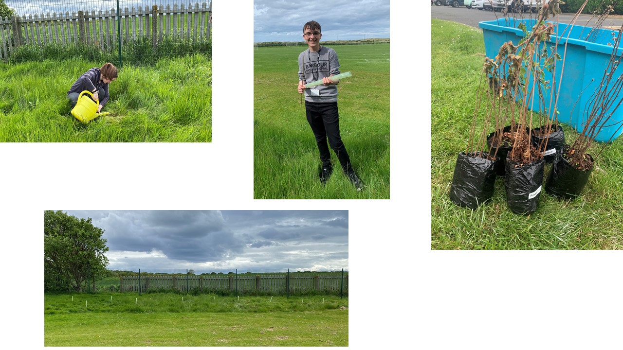 Image of ACHS - Duke of Edinburgh Silver Participants Tree Planting