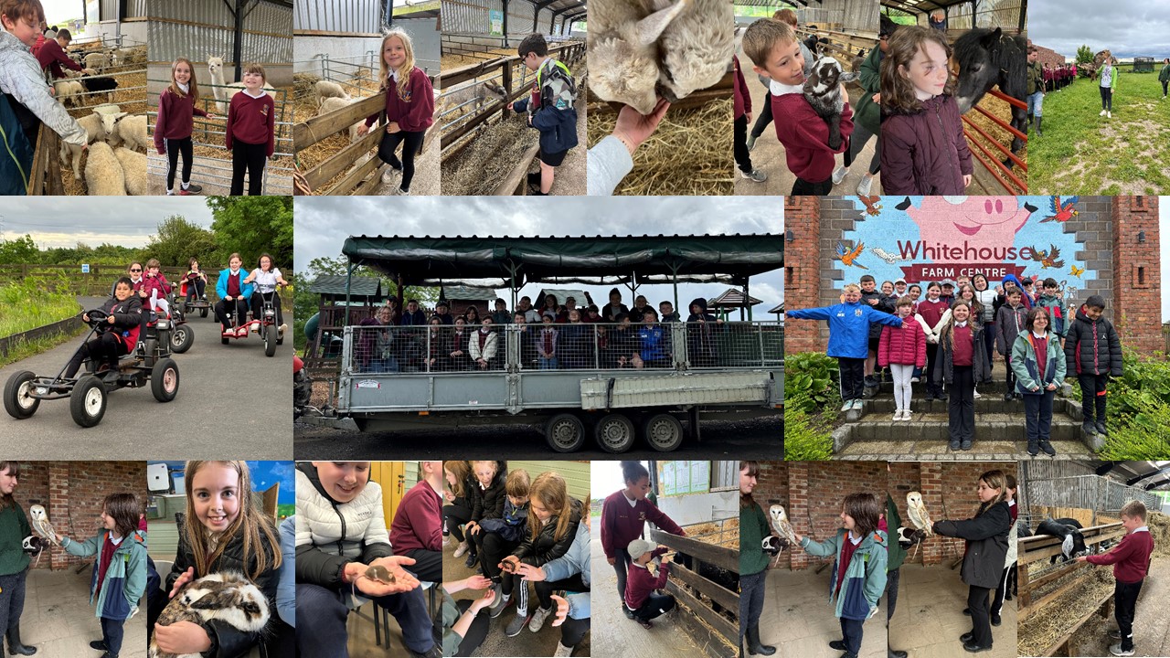 Image of Year 5 Enjoy Whitehouse Farm