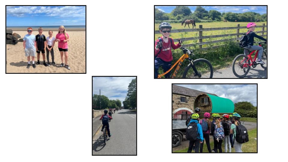Image of Bike Rides