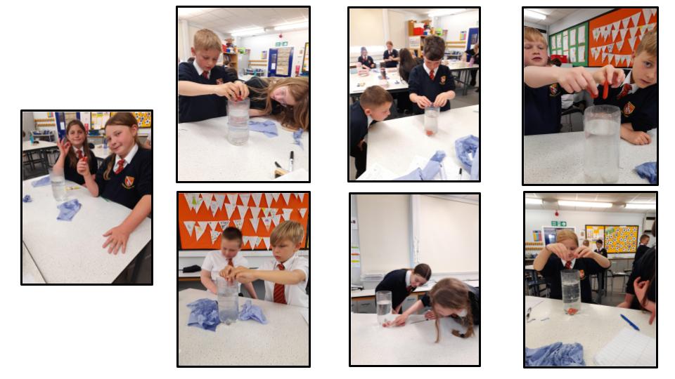 Image of Year 5 Science