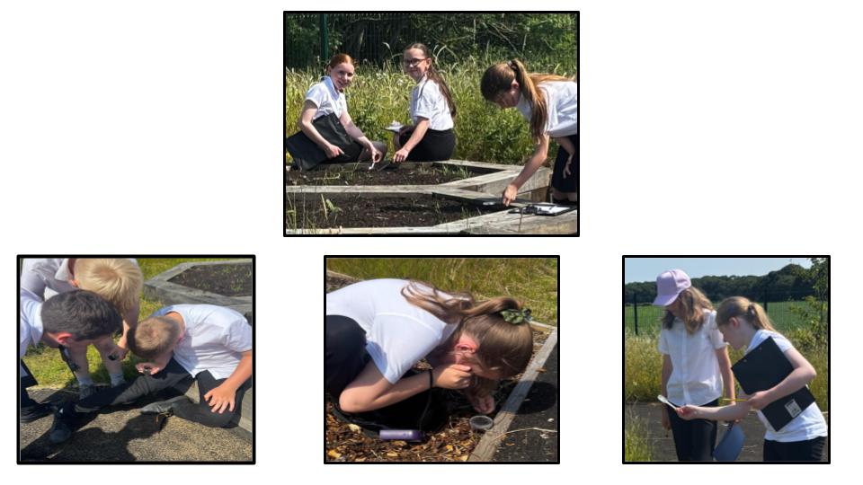 Image of Fieldwork with Year 5