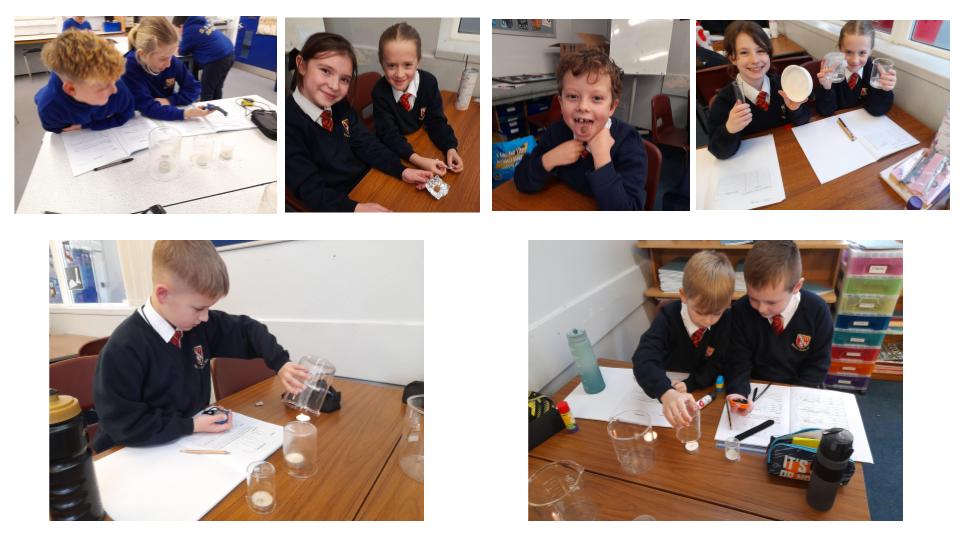 Image of Year 5 Science