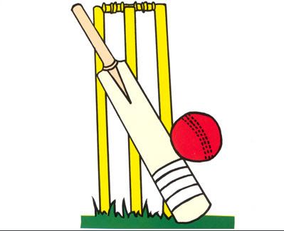 Image of Cricket at County Level