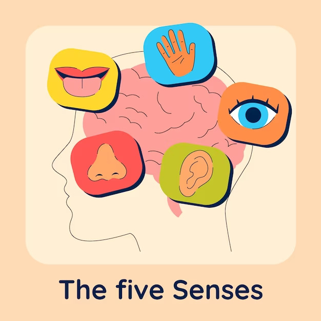 Image of Mental Health Tip - Appeal to Senses