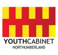 Image of Northumberland Youth Elections - Results