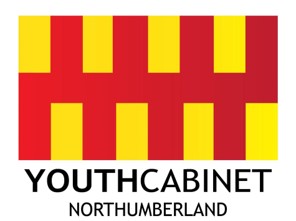 Image of Northumberland County Council Youth Elections 