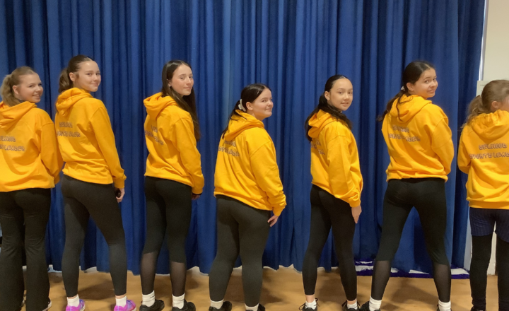 Image of Sports Leaders New Hoodies!