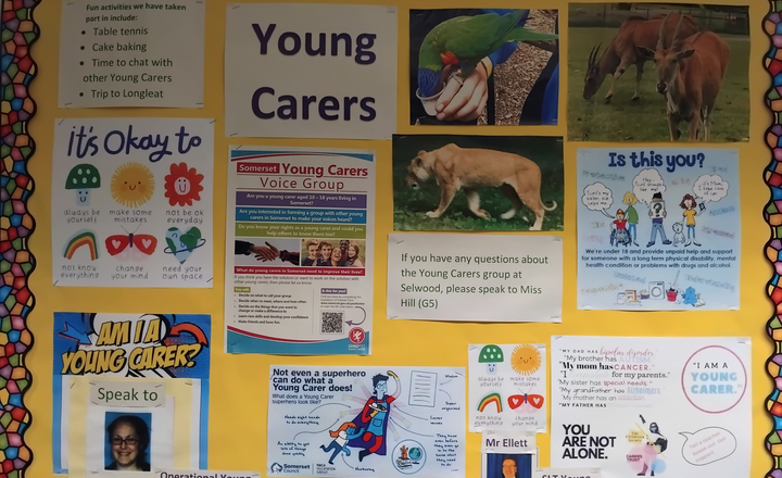 Image of Young Carers 